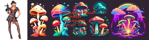 ECSTASY Абинск