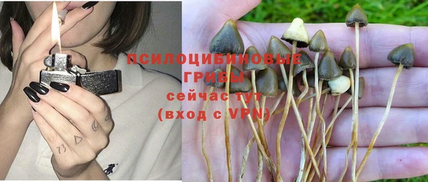 марки nbome Абаза