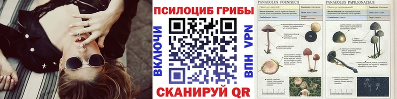 Псилоцибиновые грибы MAGIC MUSHROOMS Энем